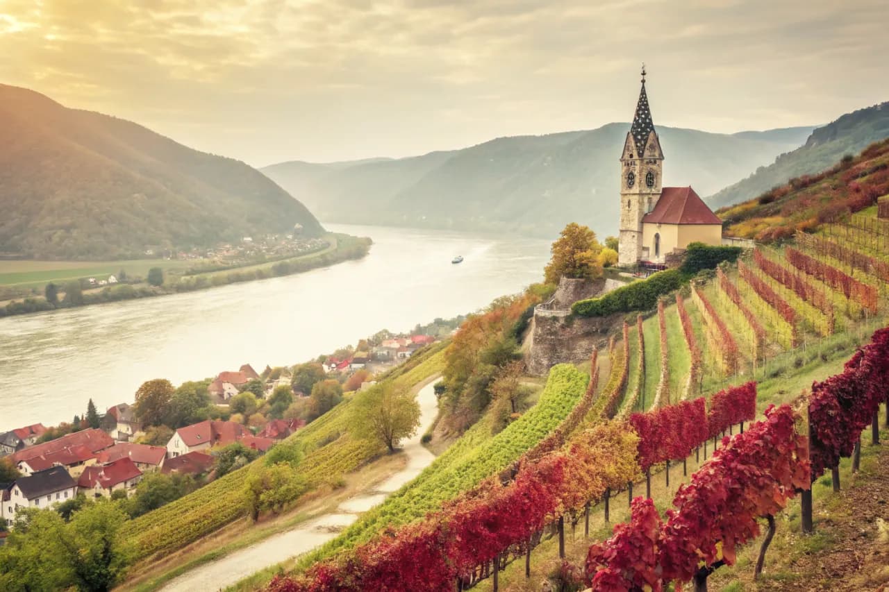 Vineyard landscape of Austria