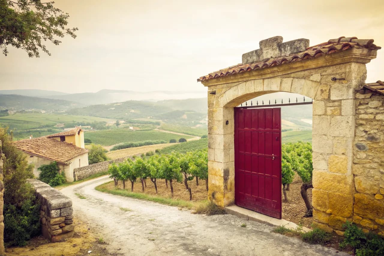 Vineyards of Domaine Gauby