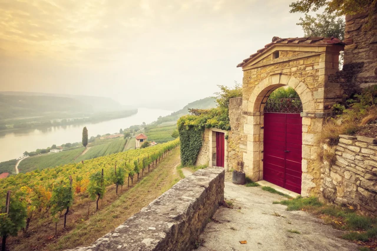 Vineyards of E. Guigal