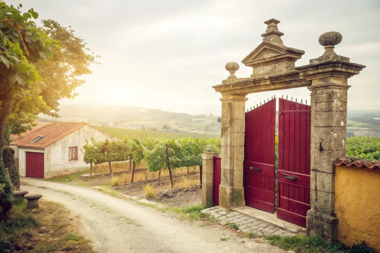 Vineyards of Graham's