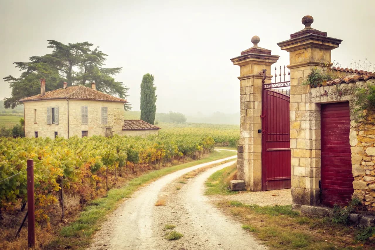 Vineyards of Mastroberardino