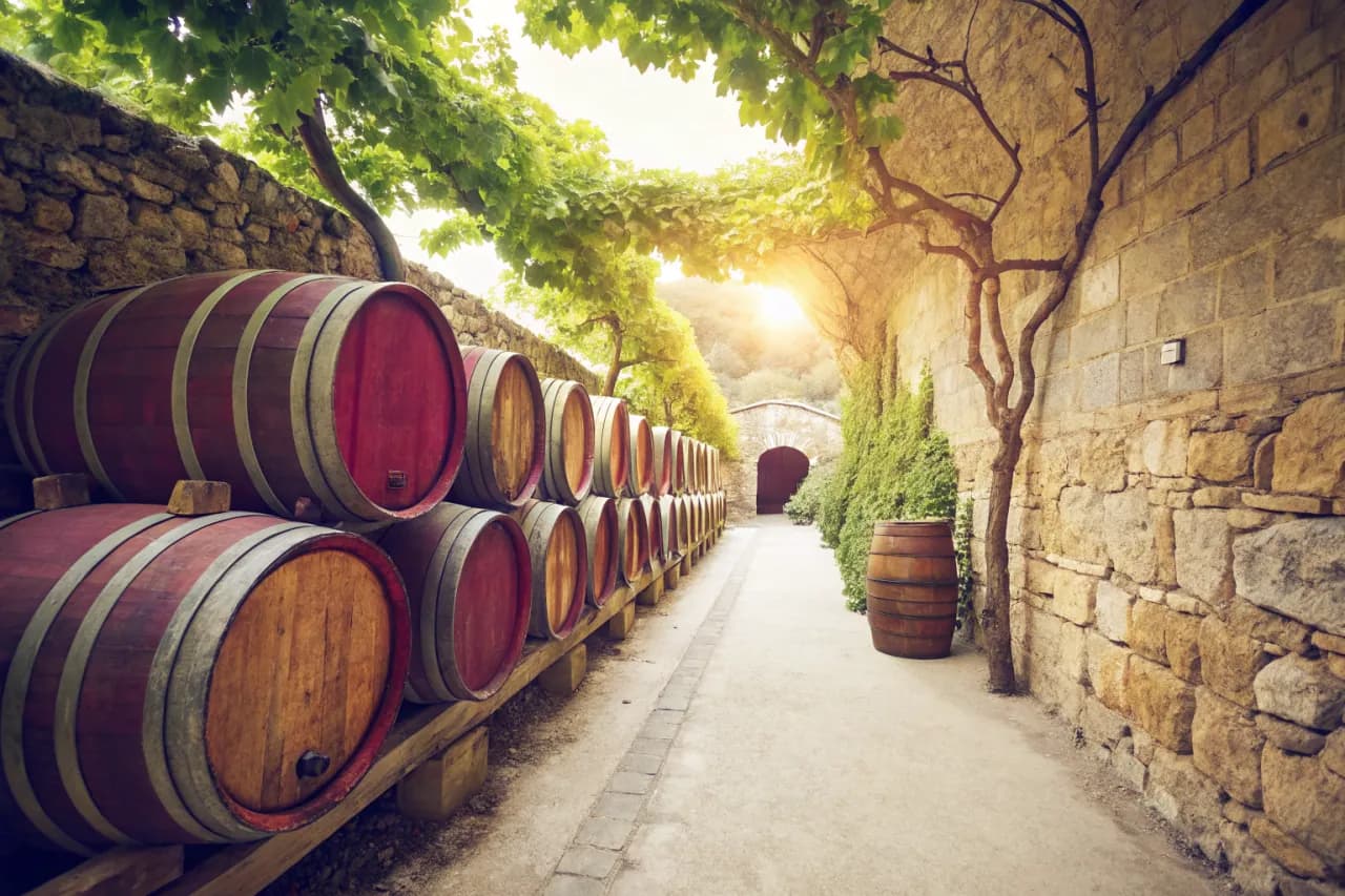 Vineyards of Teso La Monja