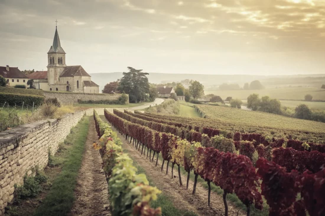 Vignobles de Domaine Leroy