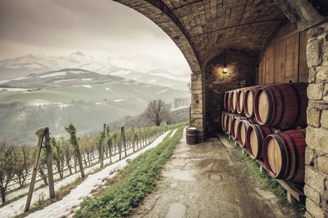 Vignobles de Emidio Pepe