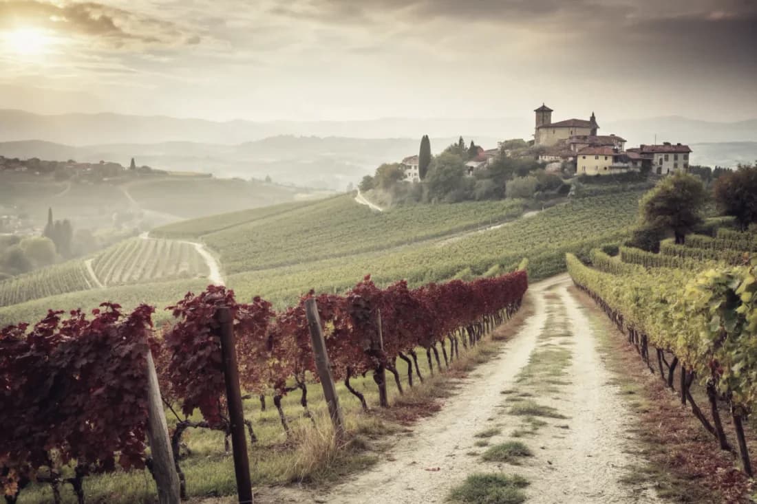 Vignobles de Gaja