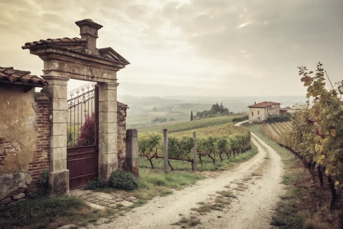 Vignobles de Vietti