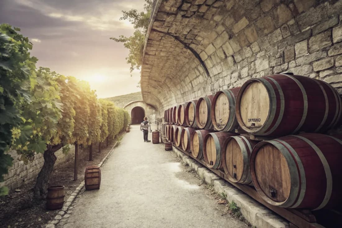 Vignobles de Zuccardi Valle de Uco