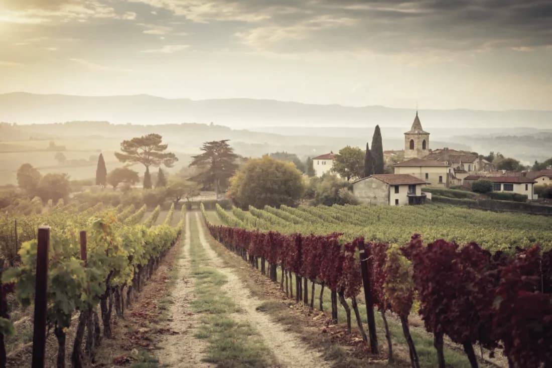 Vignobles de Achaval-Ferrer
