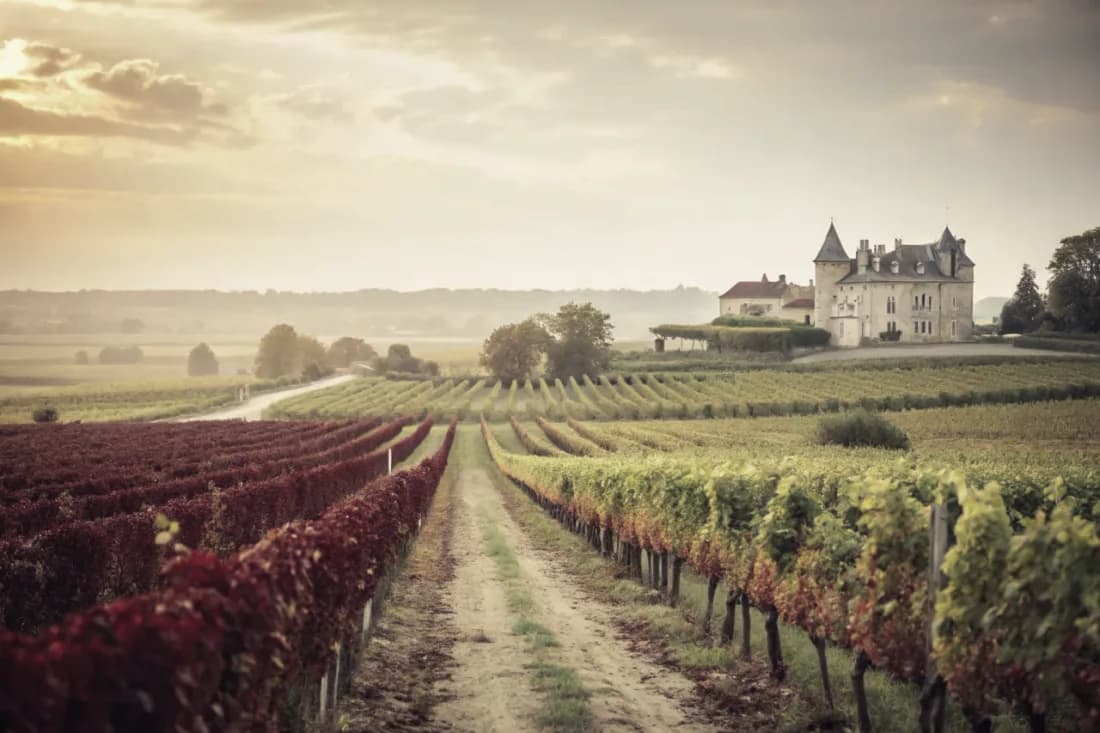 Vignobles de Château d'Yquem