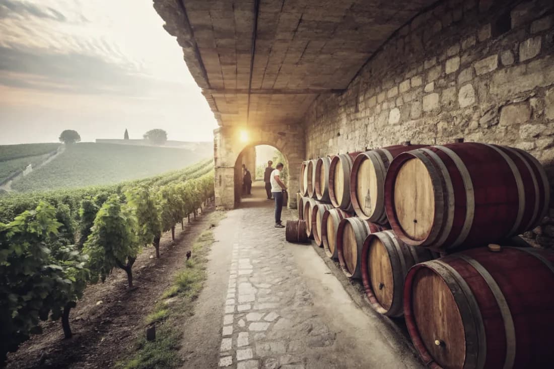 Vignobles de Craggy Range