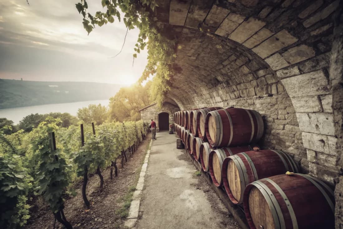 Vignobles de Dr. Konstantin Frank