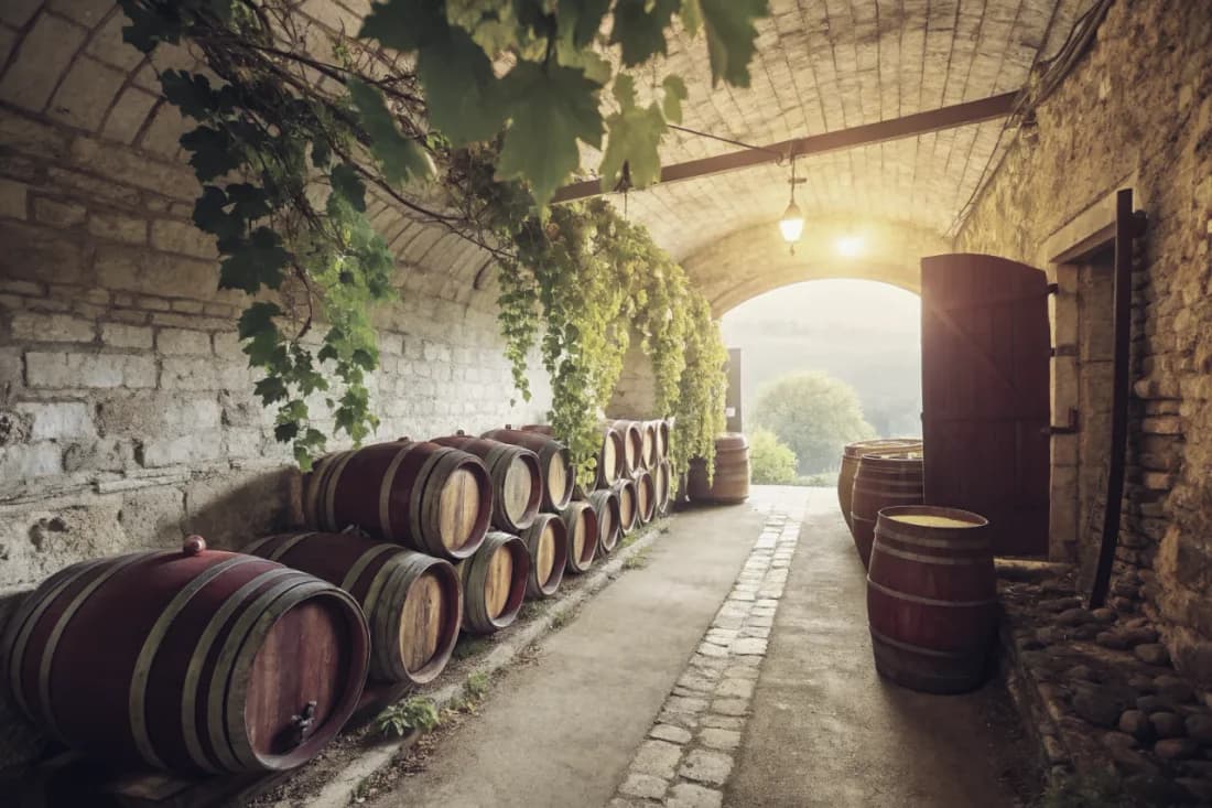 Vignobles de Gravner