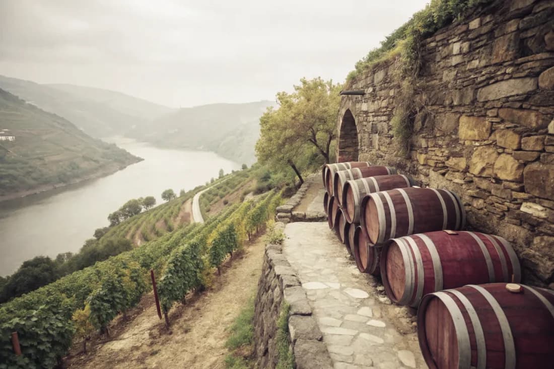 Vignobles de Guímaro