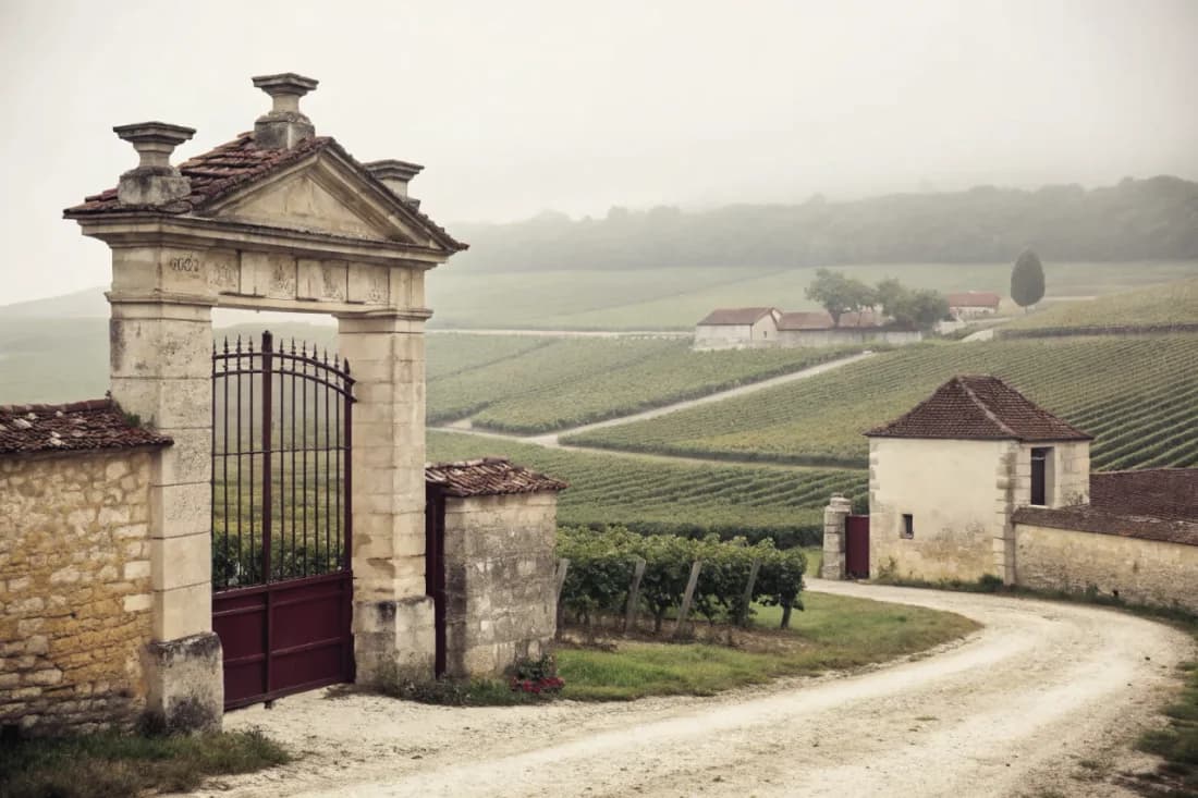 Vignobles de Jérôme Prévost