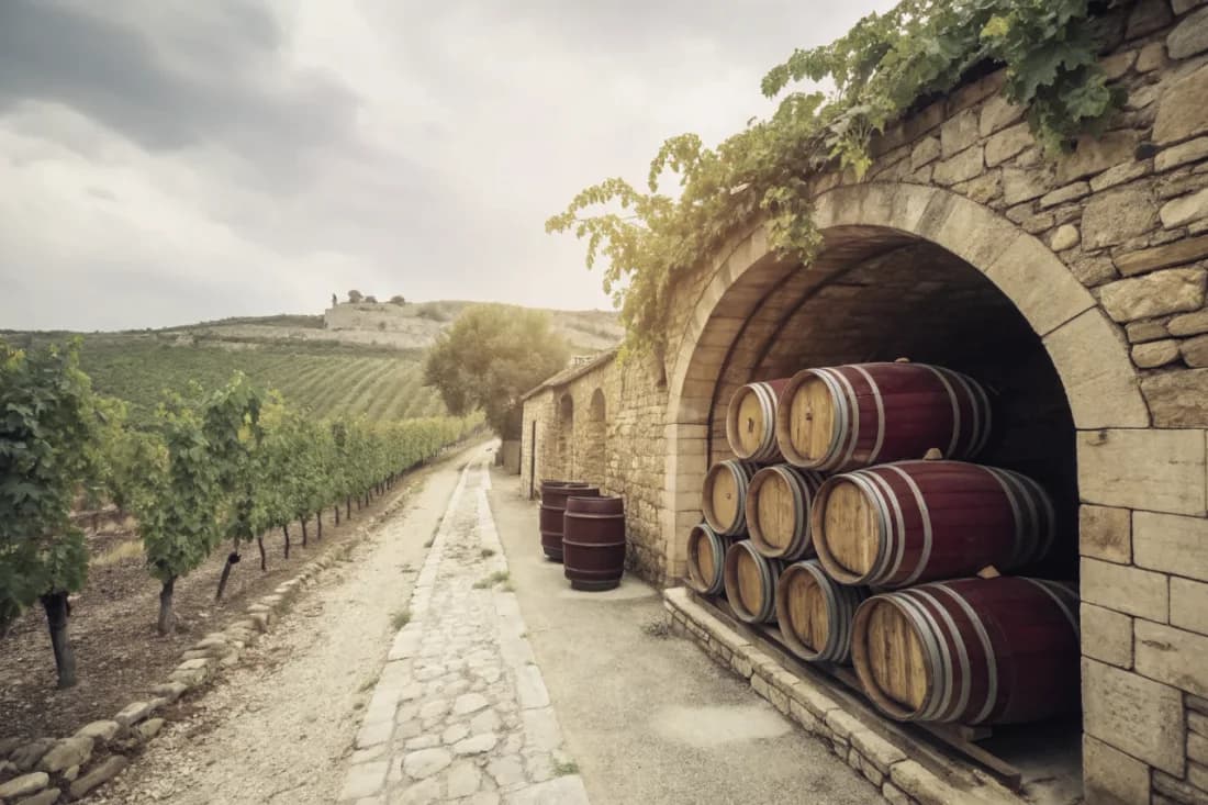 Vignobles de Mas Amiel