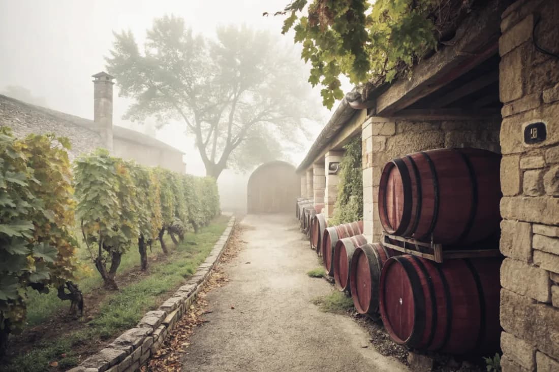 Vignobles de Opus One