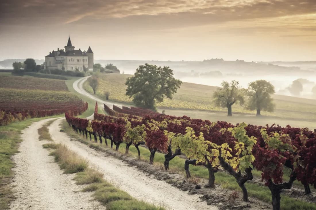 Vignobles de Pétrus