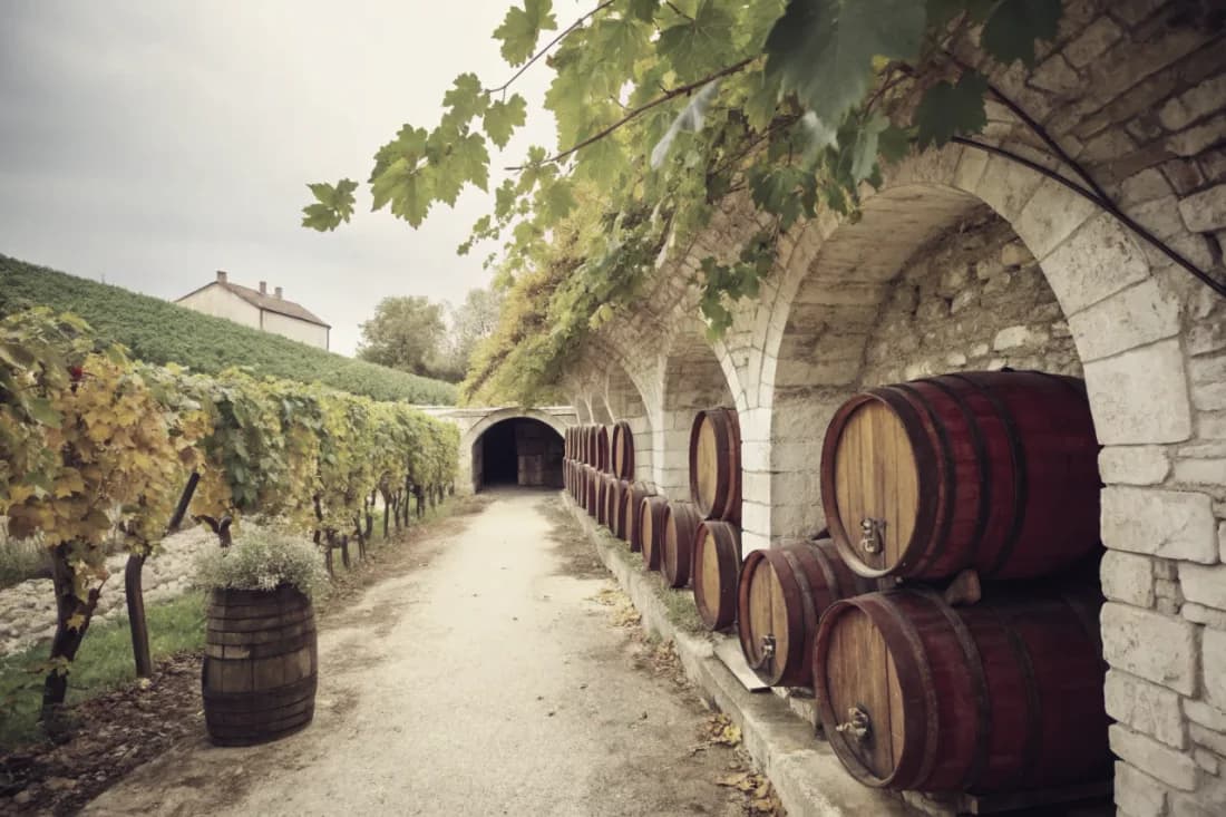 Vignobles de Radikon