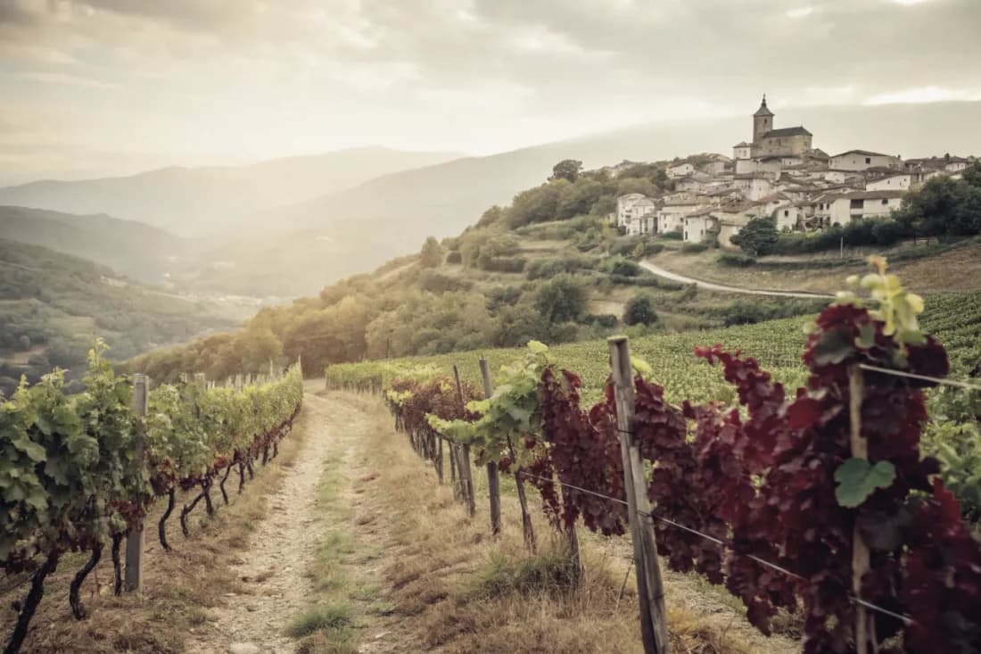 Vignobles de Raúl Pérez
