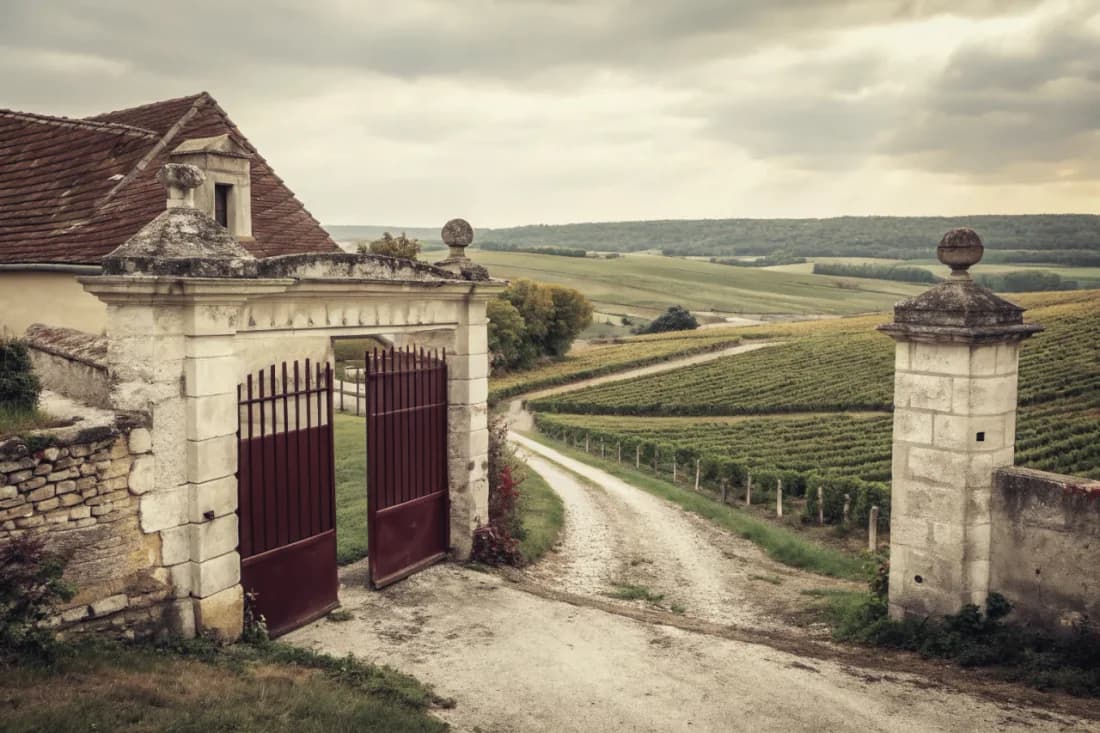 Vignobles de Salon