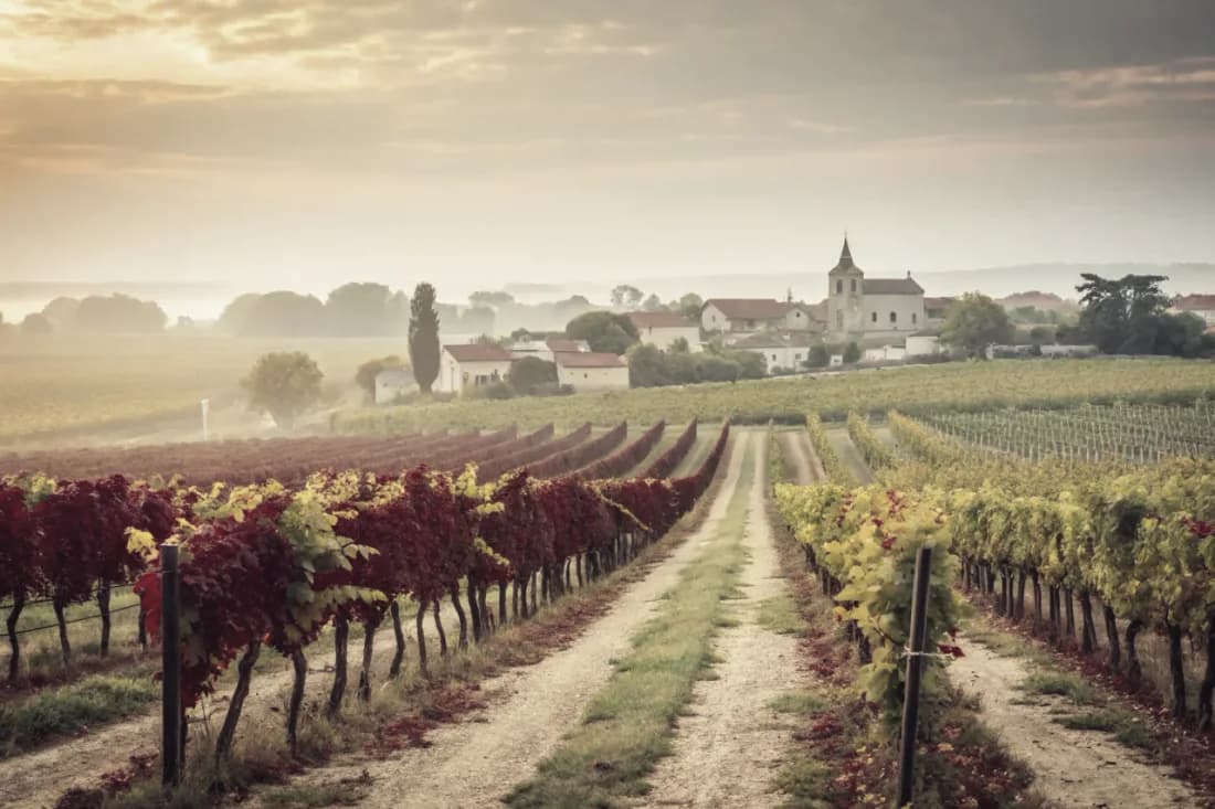 Vignobles de Torbreck