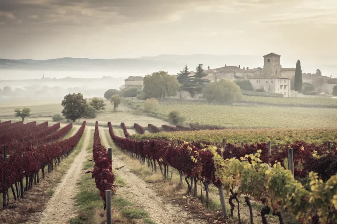 Vignobles de Vega Sicilia