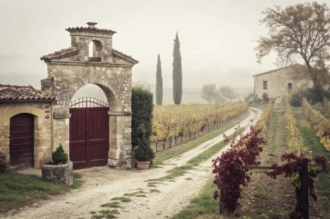 Vignobles de Viñedo Chadwick